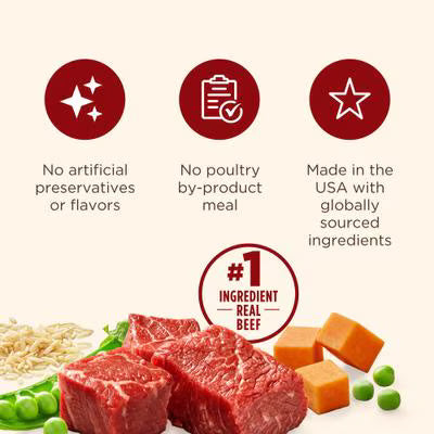 Rachael Ray Nutrish Whole Health Blend Real Beef & Pumpkin Canned Dog Food