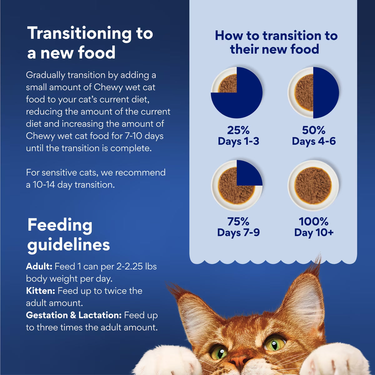 Made Medleys Primavera Variety Pack Canned Wet Cat Food