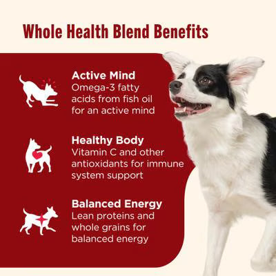 Rachael Ray Nutrish Whole Health Blend Real Beef & Pumpkin Canned Dog Food
