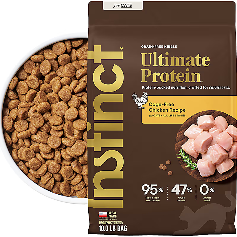 Nature's Recipe Grain-Free Salmon, Sweet Potato & Pumpkin Dry Cat Food